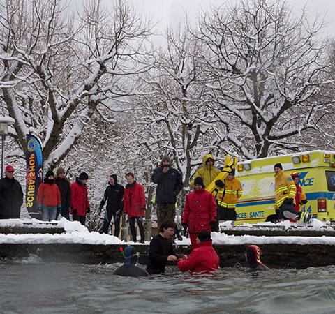 Expérience en eau froide